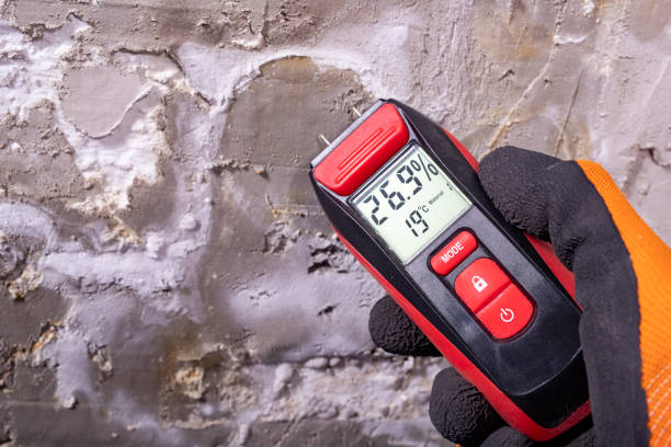 Mold Testing and Removal in Pocola, OK