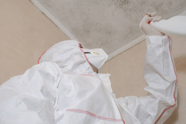 Best Mold Testing and Removal  in Pocola, OK