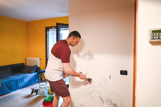  Pocola, OK Mold Removal Pros