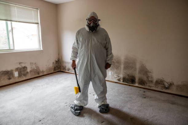 Best Certified Mold Removal  in Pocola, OK